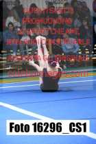 16296_CS1-