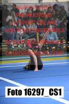 16297_CS1-