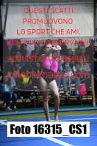 16315_CS1-