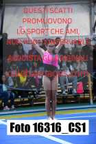 16316_CS1-