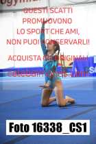 16338_CS1-