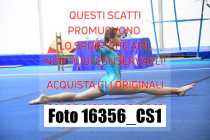 16356_CS1-