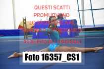 16357_CS1-