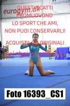 16393_CS1-