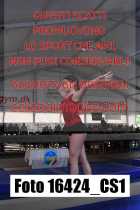 16424_CS1-