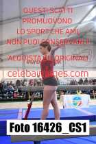 16426_CS1-