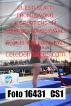 16431_CS1-