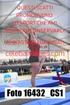 16432_CS1-