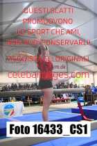 16433_CS1-
