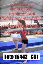 16442_CS1-