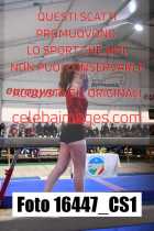 16447_CS1-