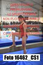16462_CS1-