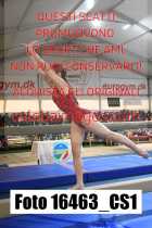 16463_CS1-