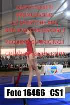 16466_CS1-