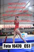 16470_CS1-