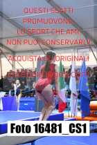 16481_CS1-