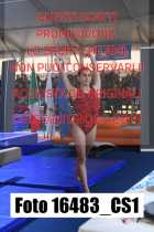 16483_CS1-