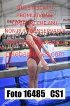 16485_CS1-