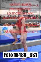 16486_CS1-