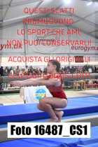 16487_CS1-