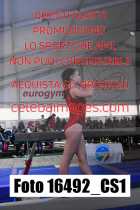 16492_CS1-