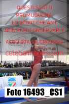 16493_CS1-