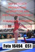 16494_CS1-