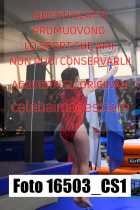 16503_CS1-