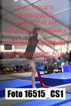 16515_CS1-