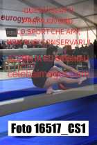 16517_CS1-
