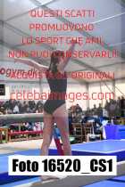 16520_CS1-