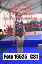 16525_CS1-