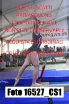 16527_CS1-