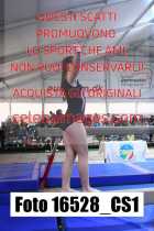 16528_CS1-