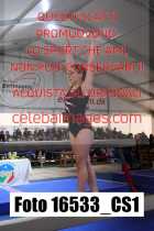 16533_CS1-