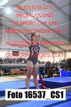 16537_CS1-