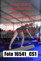 16541_CS1-