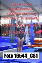 16544_CS1-