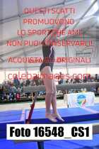 16548_CS1-