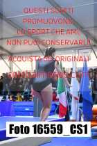 16559_CS1-