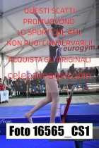 16565_CS1-