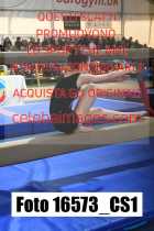 16573_CS1-