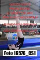 16576_CS1-
