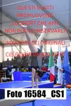 16584_CS1-