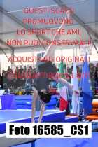 16585_CS1-