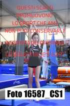 16587_CS1-