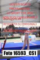 16593_CS1-