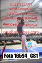16594_CS1-