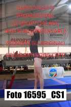 16595_CS1-