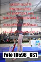 16596_CS1-
